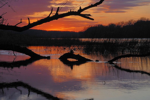 donau-auen