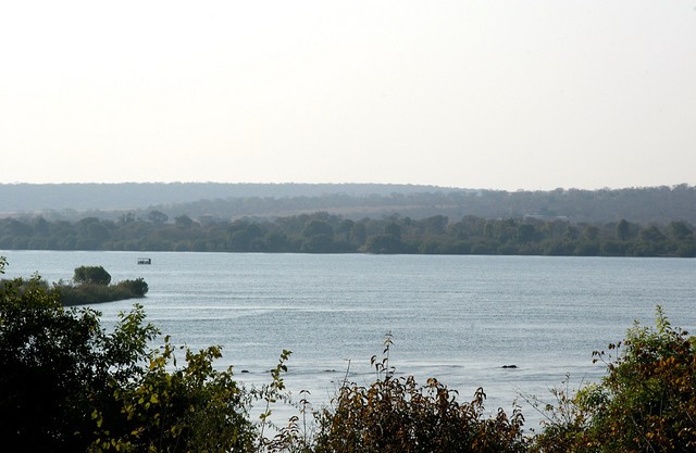 zambezi-02