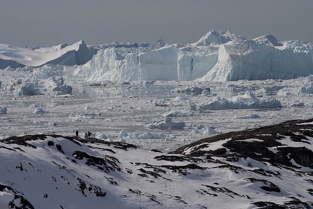 fiord-ilulissat-13