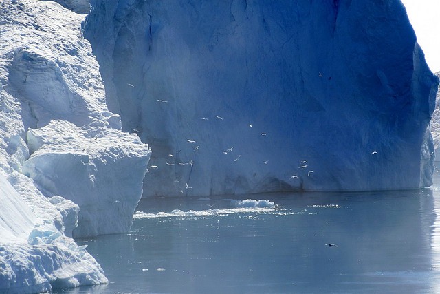 fiord-ilulissat-14