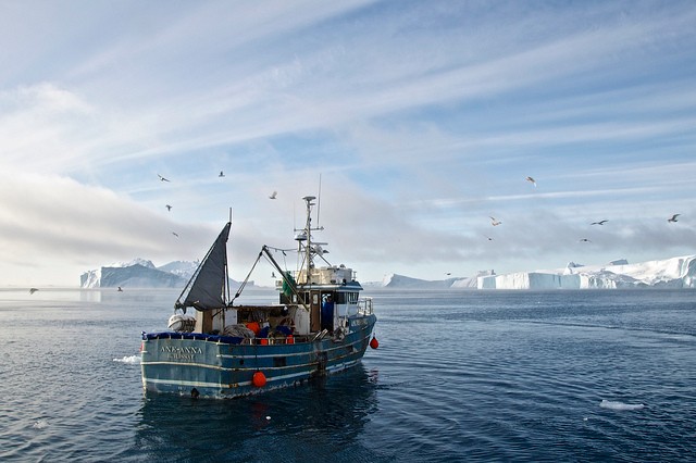 fiord-ilulissat-15