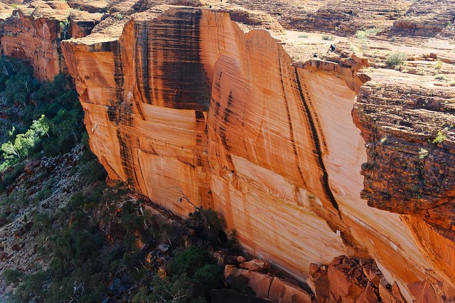 kings-canyon-01