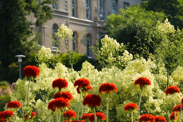 botanicheskiy-sad-helsinki-03