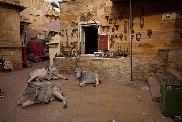 jaisalmer-19