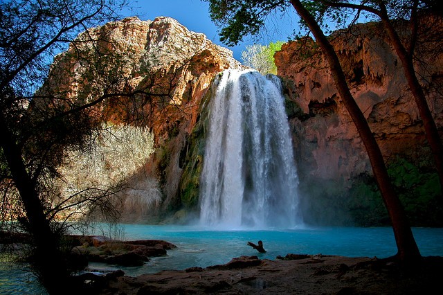 havasu