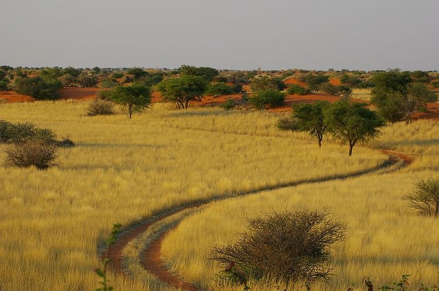 kalahari-10