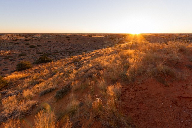 kalahari-14