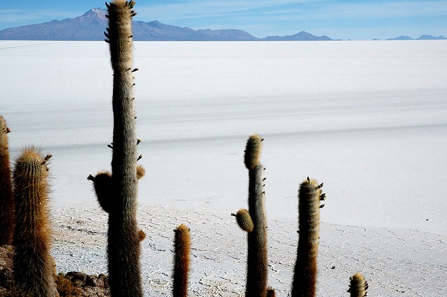 solonchak-uyuni-03