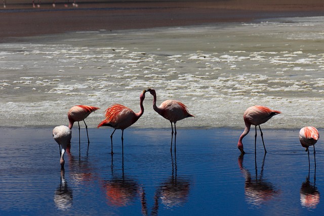 solonchak-uyuni-10