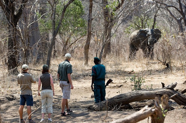 malawi