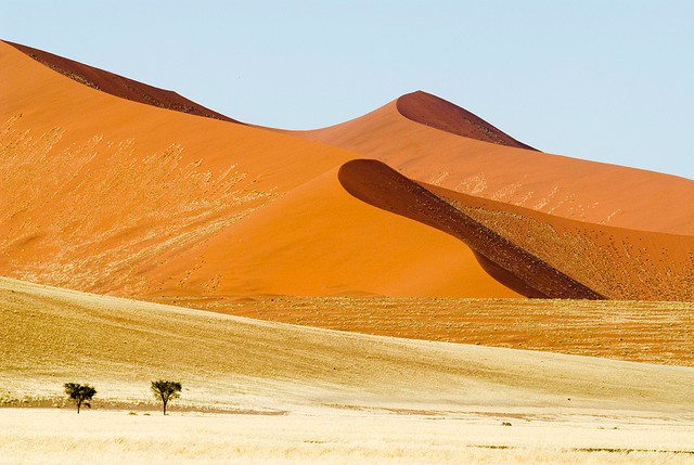 pustynya-namib-03