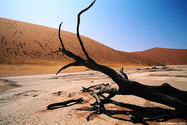 pustynya-namib-04