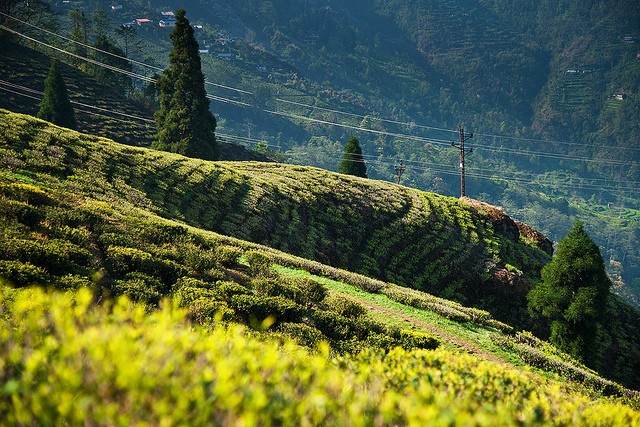 sikkim