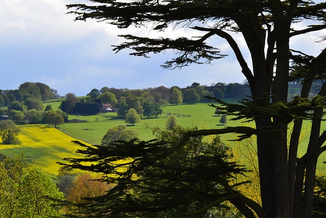 yorkshire