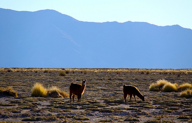 salinas-grandes-07