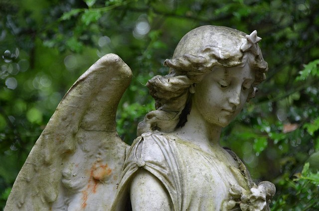 highgate-cemetery-05