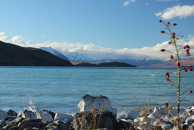 ozero-tekapo-11