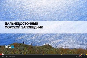 Дальневосточный морской заповедник