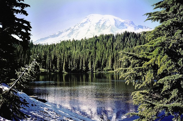 mount-rainier-national-park-07