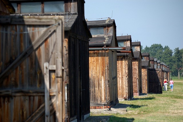 auschwitz-birkenau-11