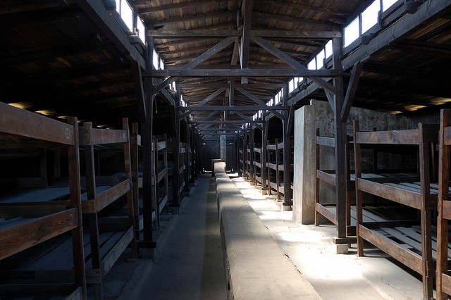 auschwitz-birkenau-12