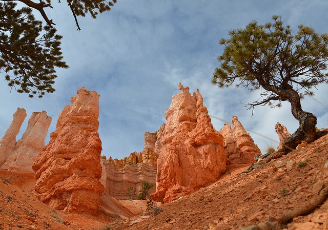 bryce-canyon-09