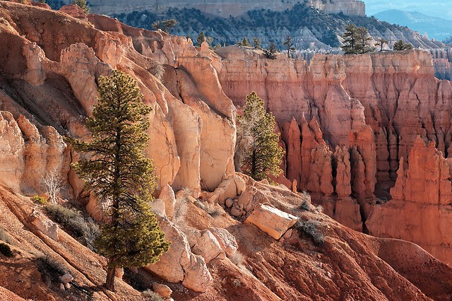 bryce-canyon-14