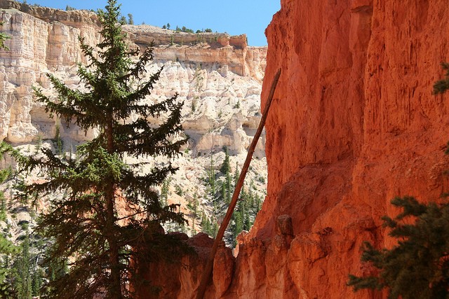 bryce-canyon-15