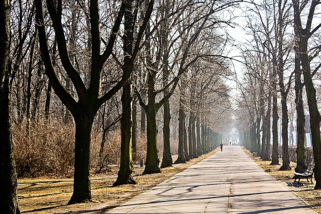 park-bolshoi-tirgarten-15