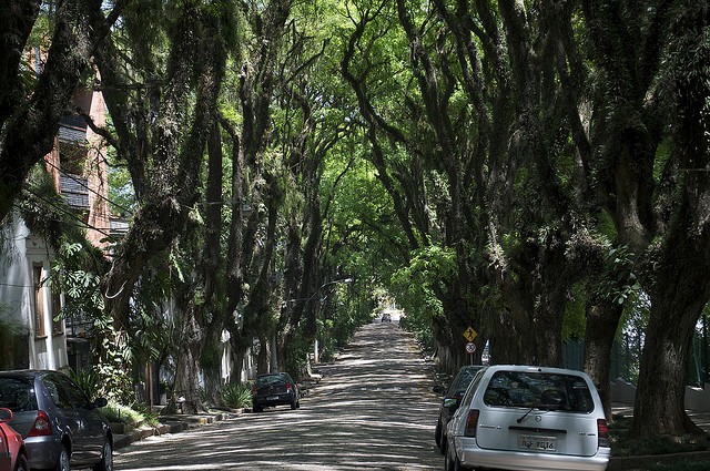 ulitsa-rua-gonsalu-de-karvalo-05