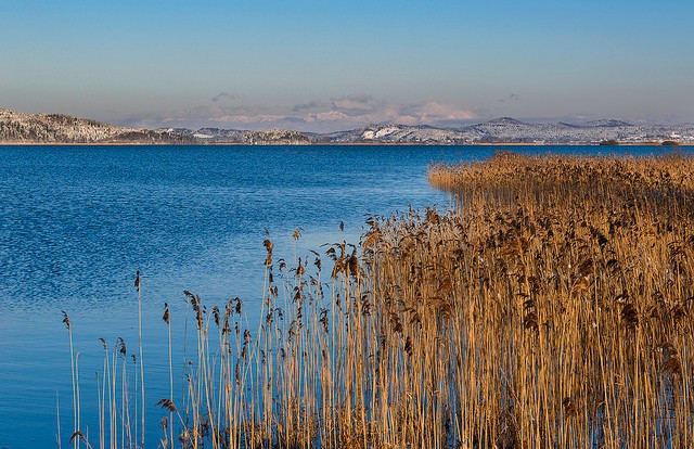 ozero-cerknica-01