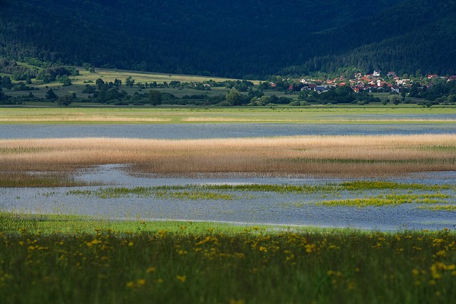 ozero-cerknica-03