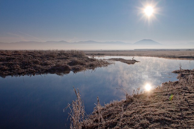 ozero-cerknica-07