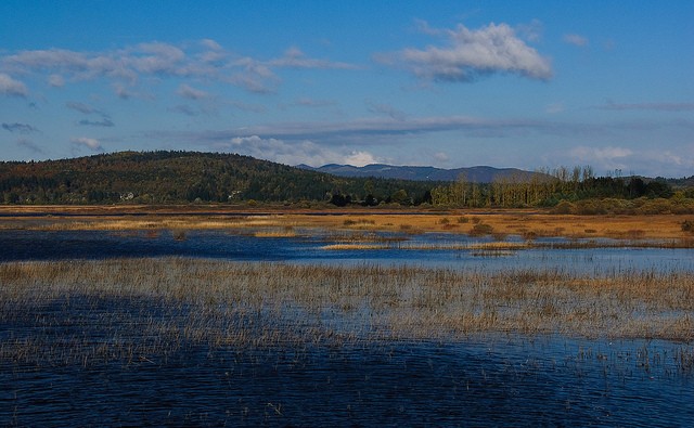 ozero-cerknica-14