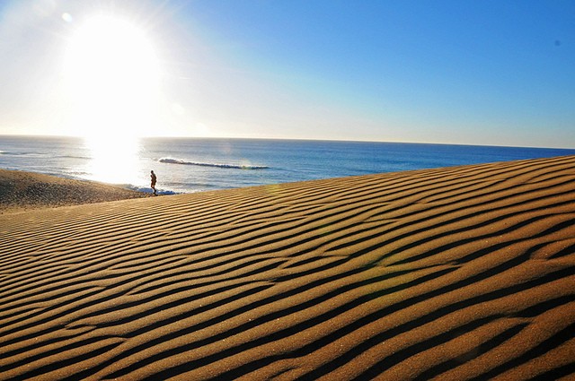 dyuny-maspalomas-01