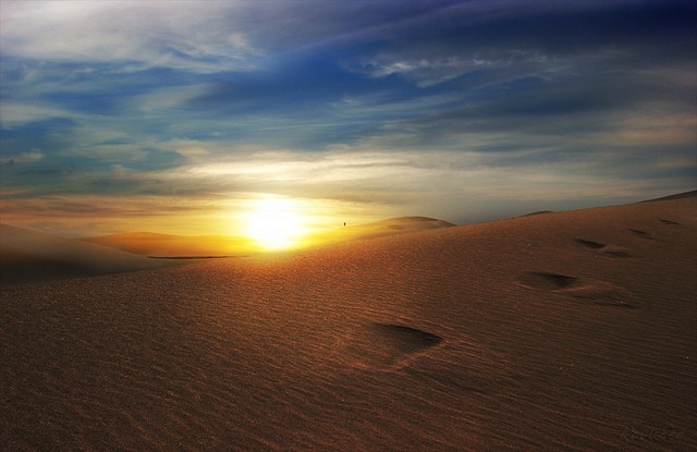 dyuny-maspalomas-09