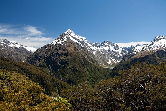 routeburn-track-03