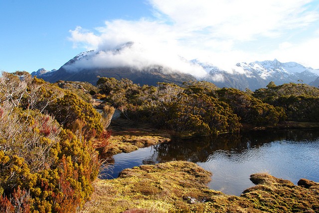 routeburn-track-04