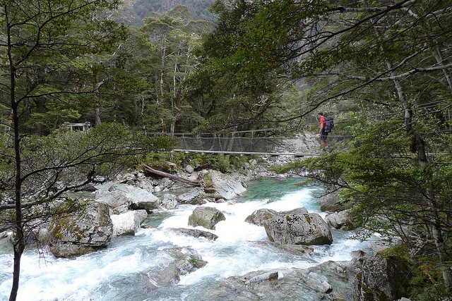 routeburn-track-14