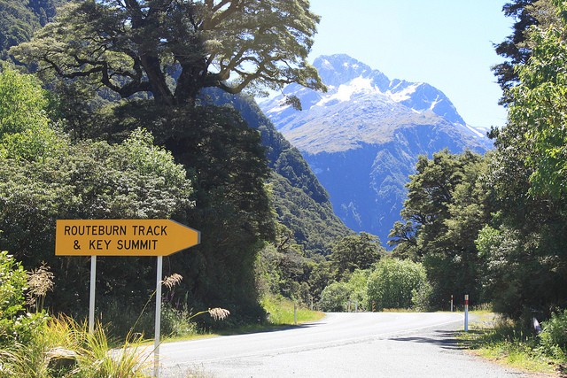 routeburn-track-15