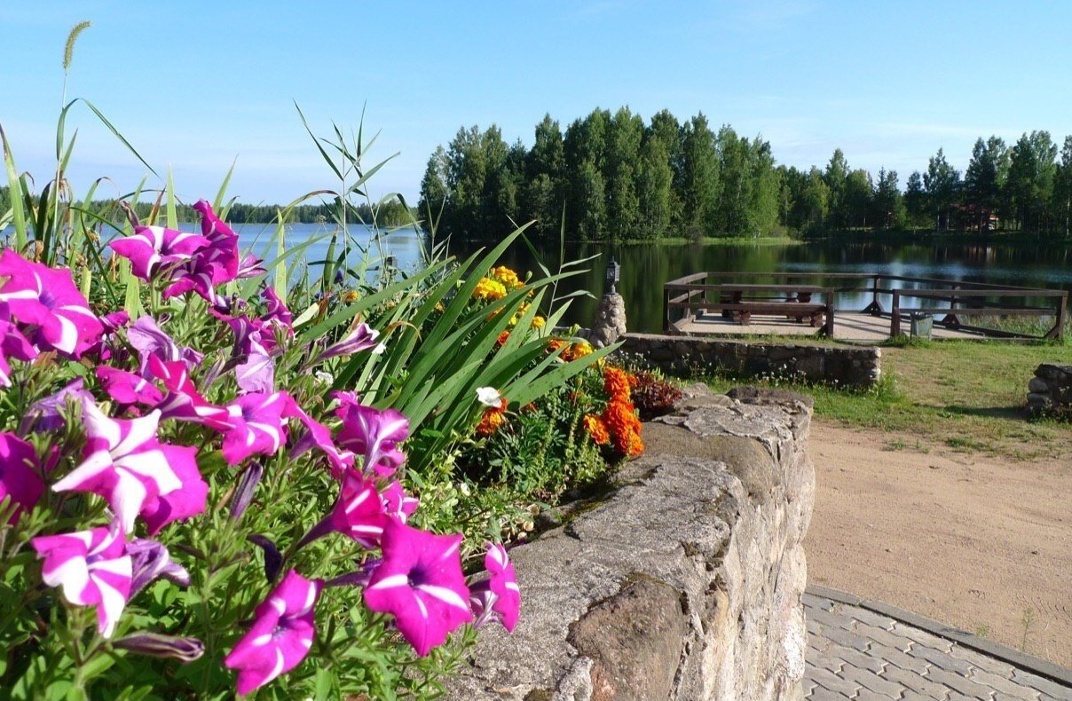 Загородный отдых на берегу реки.