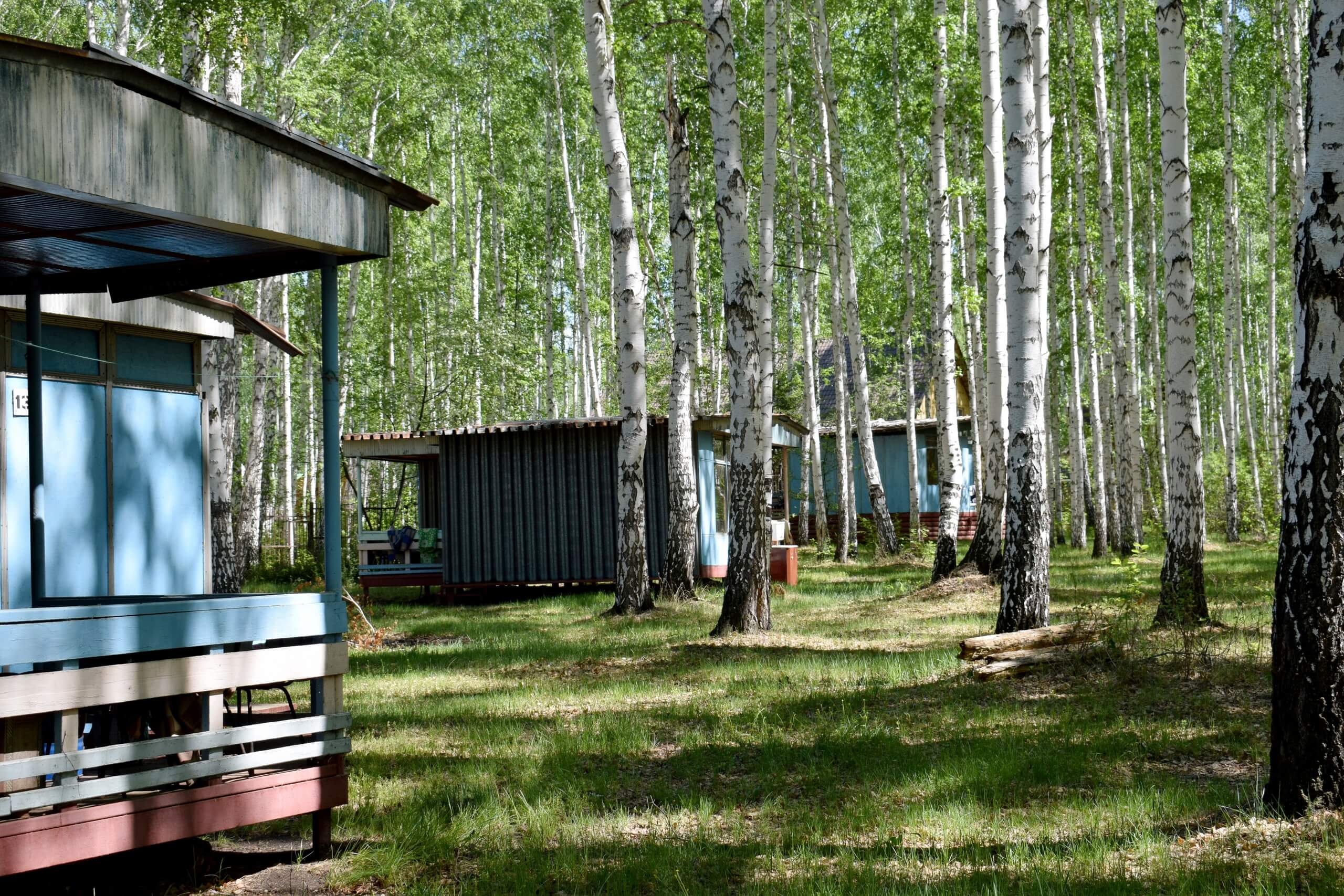 Русские березки, старые деревянные домики. Бюджетный отдых.