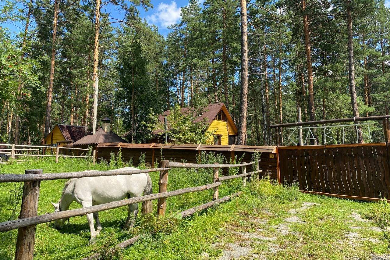 В загоне пасется лошадка. Вокруг сосны. Тишина и идиллия.