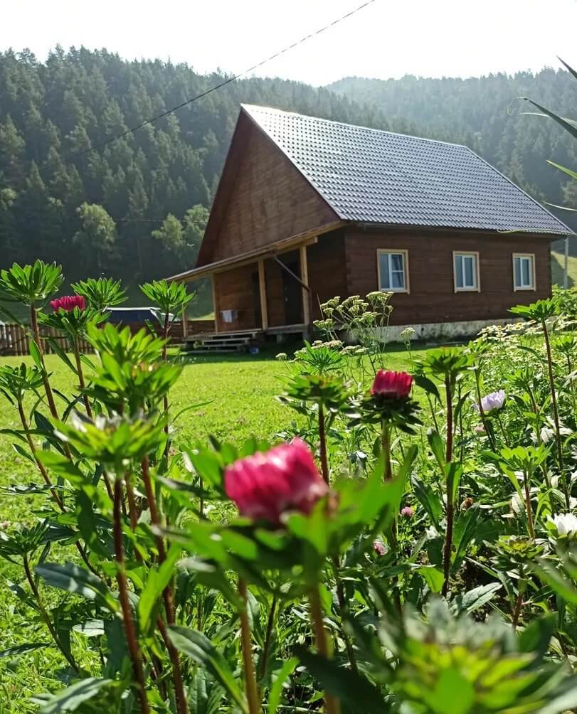 Во дворе растут цветы, есть большая лужайка с ухоженным газоном.