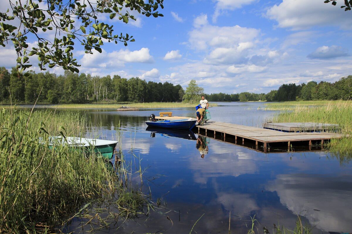 Берег реки. Пирс.