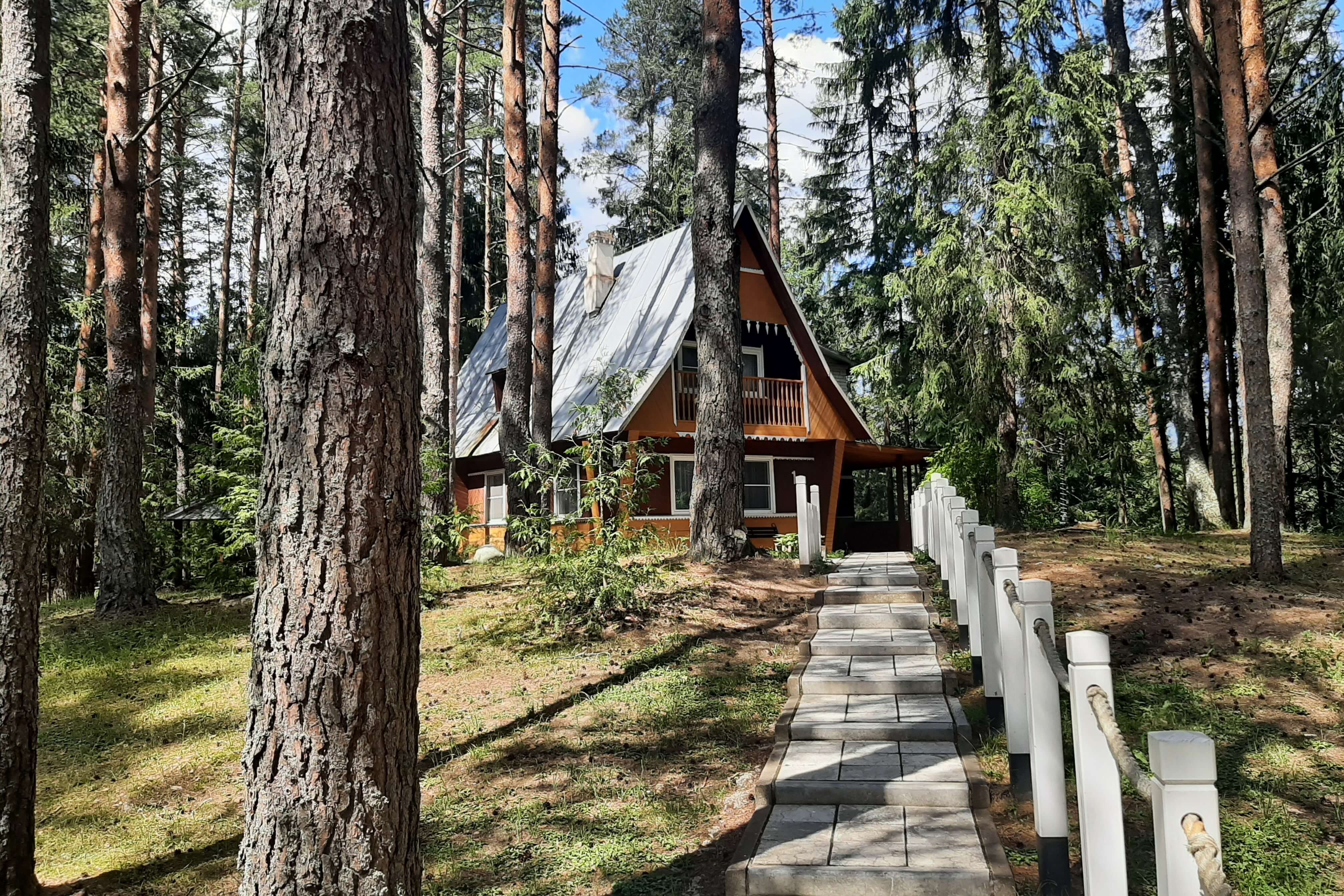 Дома окружены высокими, красивыми соснами.